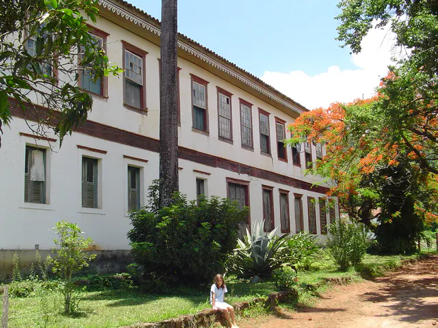 Edifício histórico branco cercado por árvores